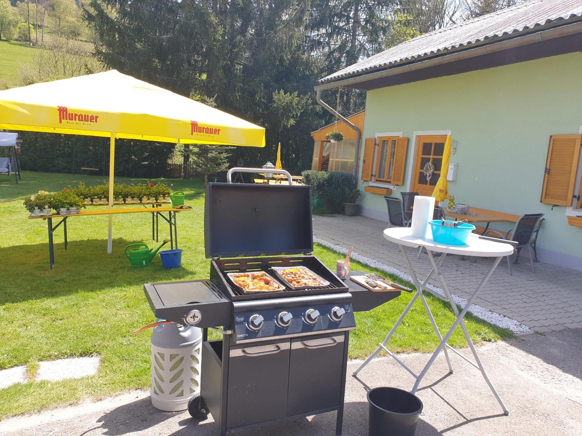 Casa vacanze Ferienhausfindling St.lambrecht